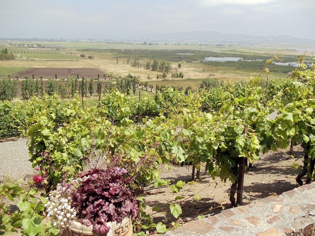 sonoma valley