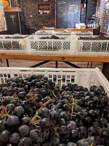 winemaking course