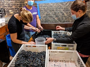 Winemaking Certification Program