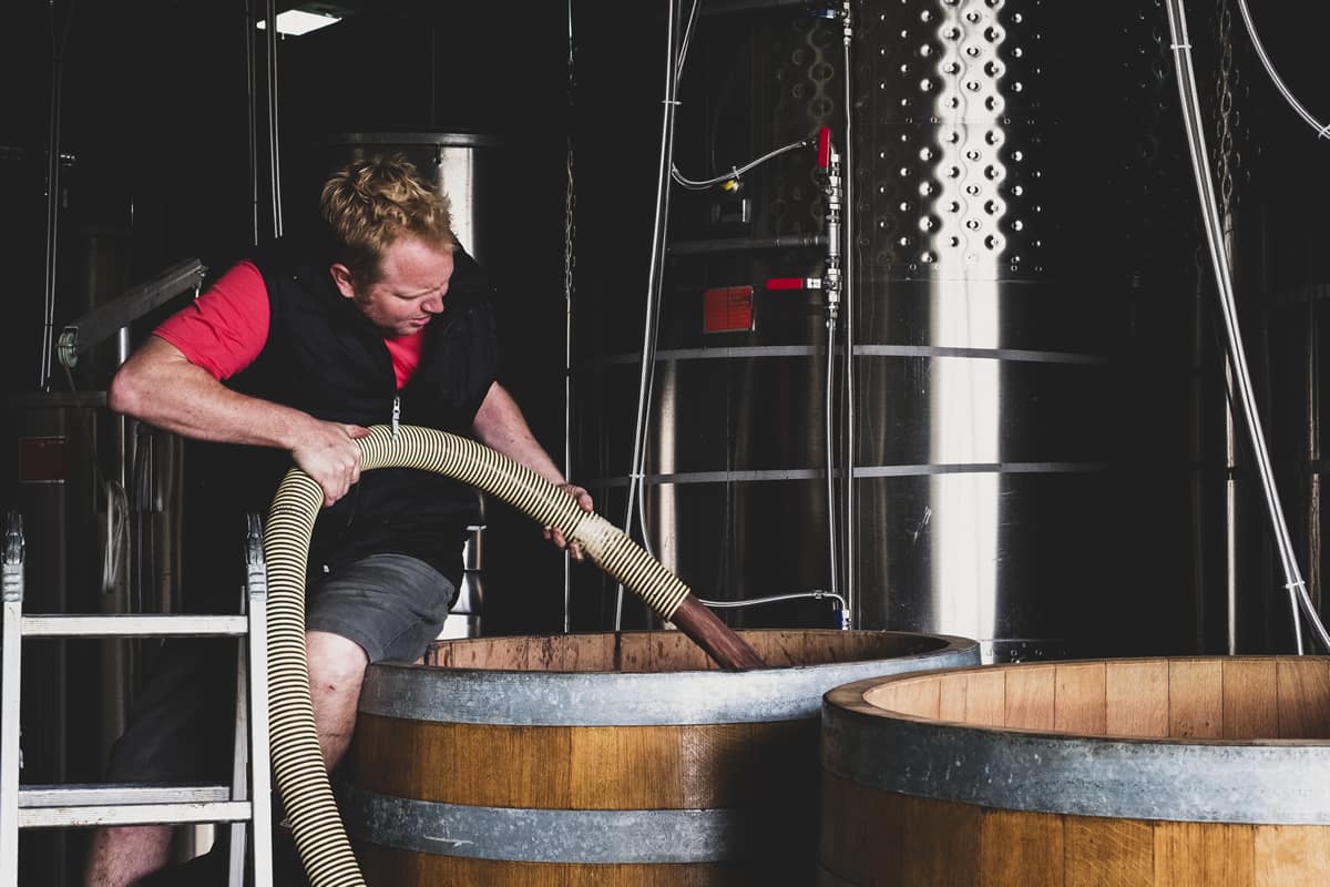 Top Winemaking Schools in the World H WINERY